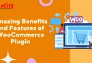 Amazing Benefits and Features of WooCommerce Plugin