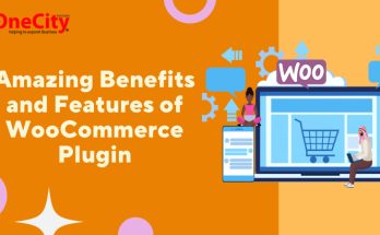 Amazing Benefits and Features of WooCommerce Plugin