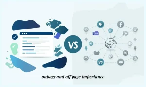 on page and off page importance