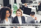 Why Small Businesses Need a Professional SEO Company in Bangalore